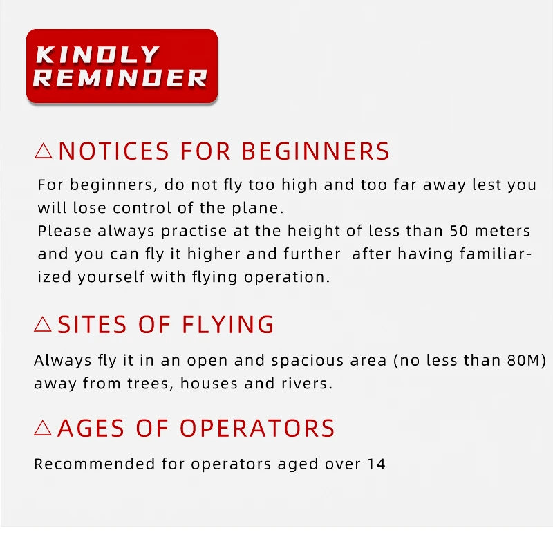 SG-F22 RC Airplane 3D Stunt Plane Model 2.4G Remote Control Fighter Glider Electric Rc Aircraft Toys For Adults
