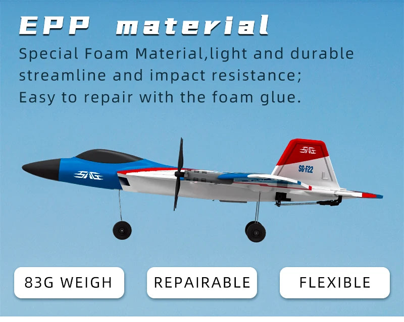 SG-F22 RC Airplane 3D Stunt Plane Model 2.4G Remote Control Fighter Glider Electric Rc Aircraft Toys For Adults
